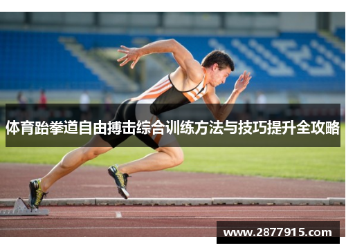体育跆拳道自由搏击综合训练方法与技巧提升全攻略