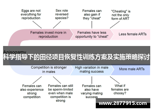 科学指导下的田径项目恢复性训练方案及实施策略探讨