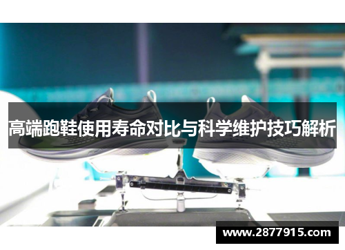 高端跑鞋使用寿命对比与科学维护技巧解析