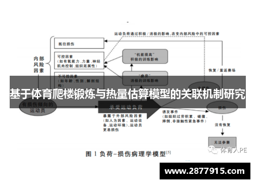 基于体育爬楼锻炼与热量估算模型的关联机制研究